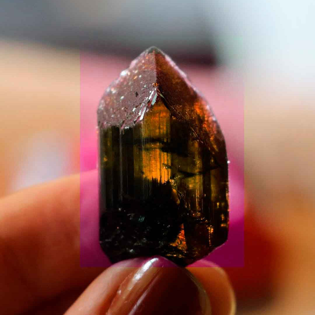 Huni Kuî Earrings - Special stock case