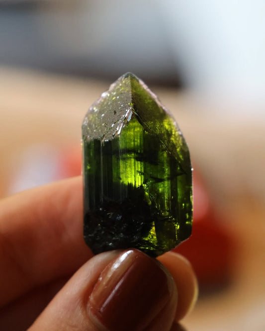 Huni Kuî Earrings - Special stock case